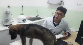 逍遥快活的人主播照片