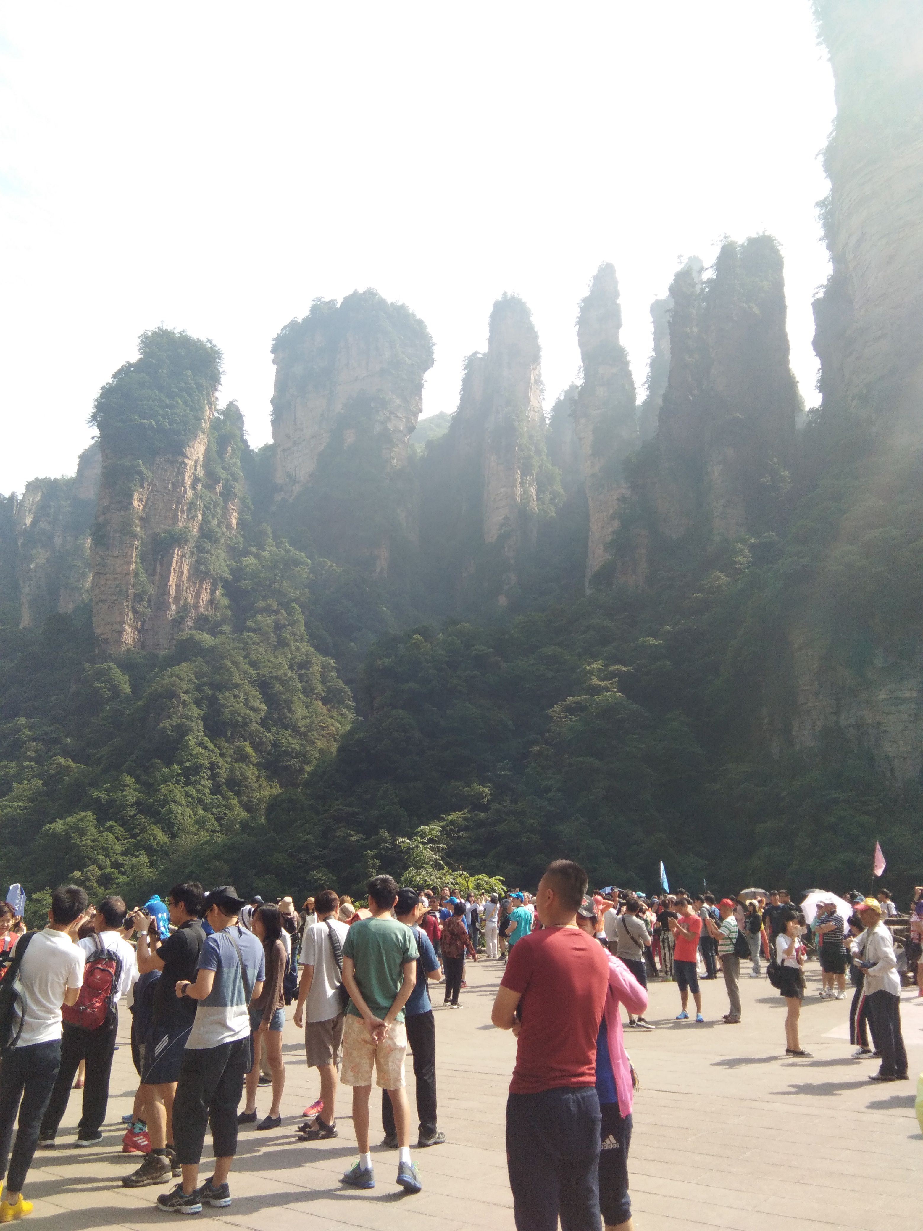 🎶幸福满满🎶的图片