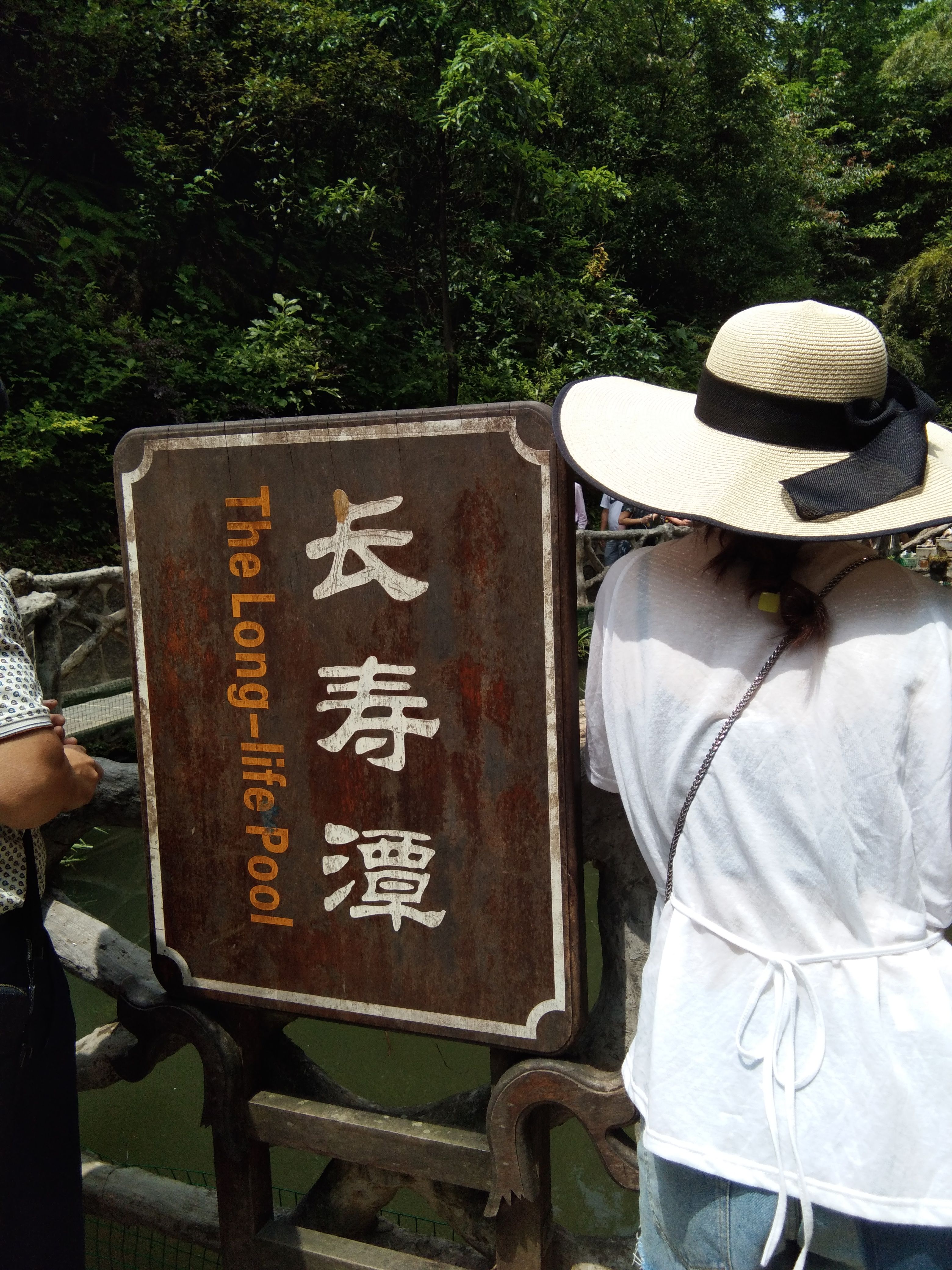 🎶幸福满满🎶的图片
