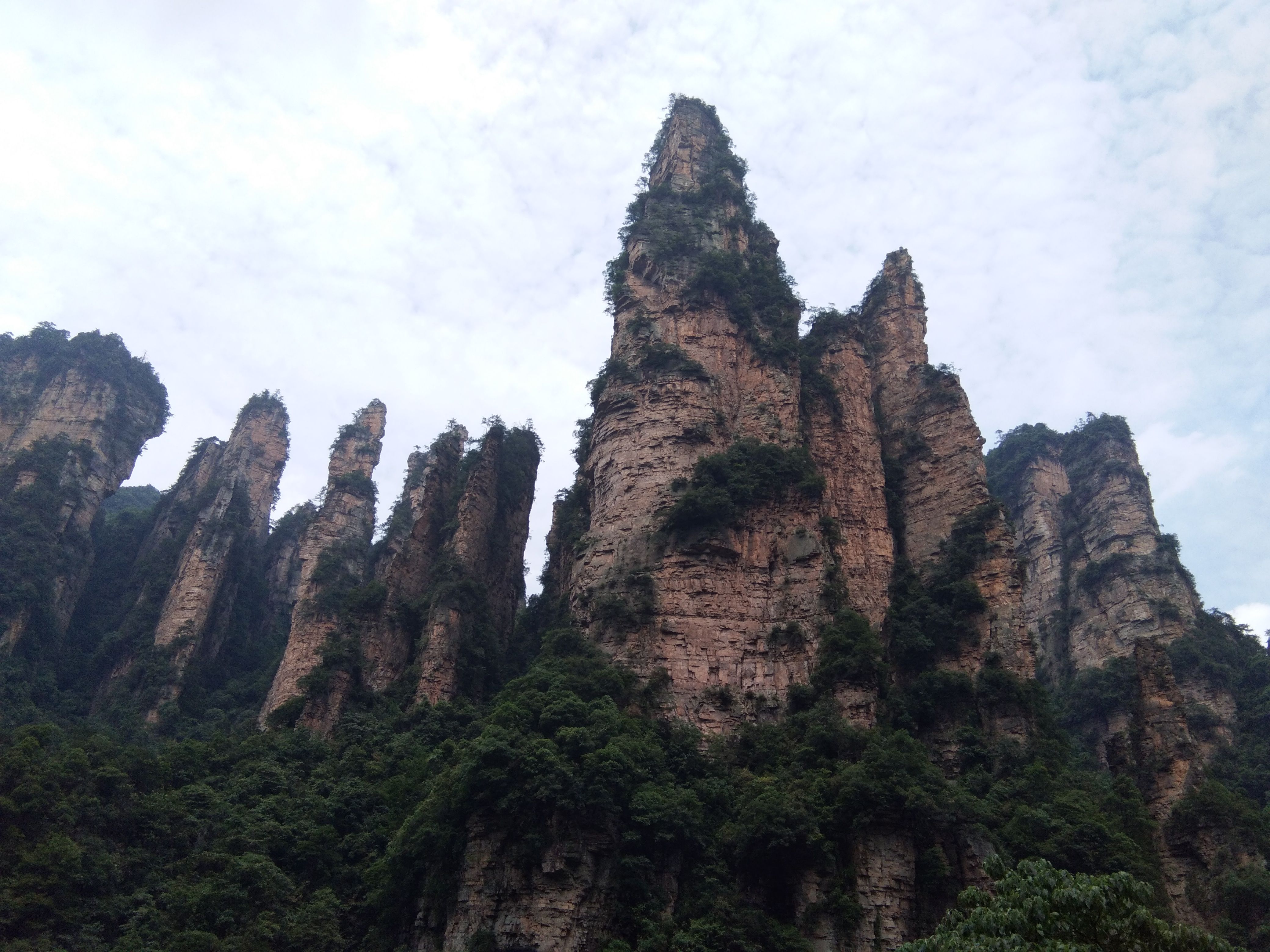 🎶幸福满满🎶的图片