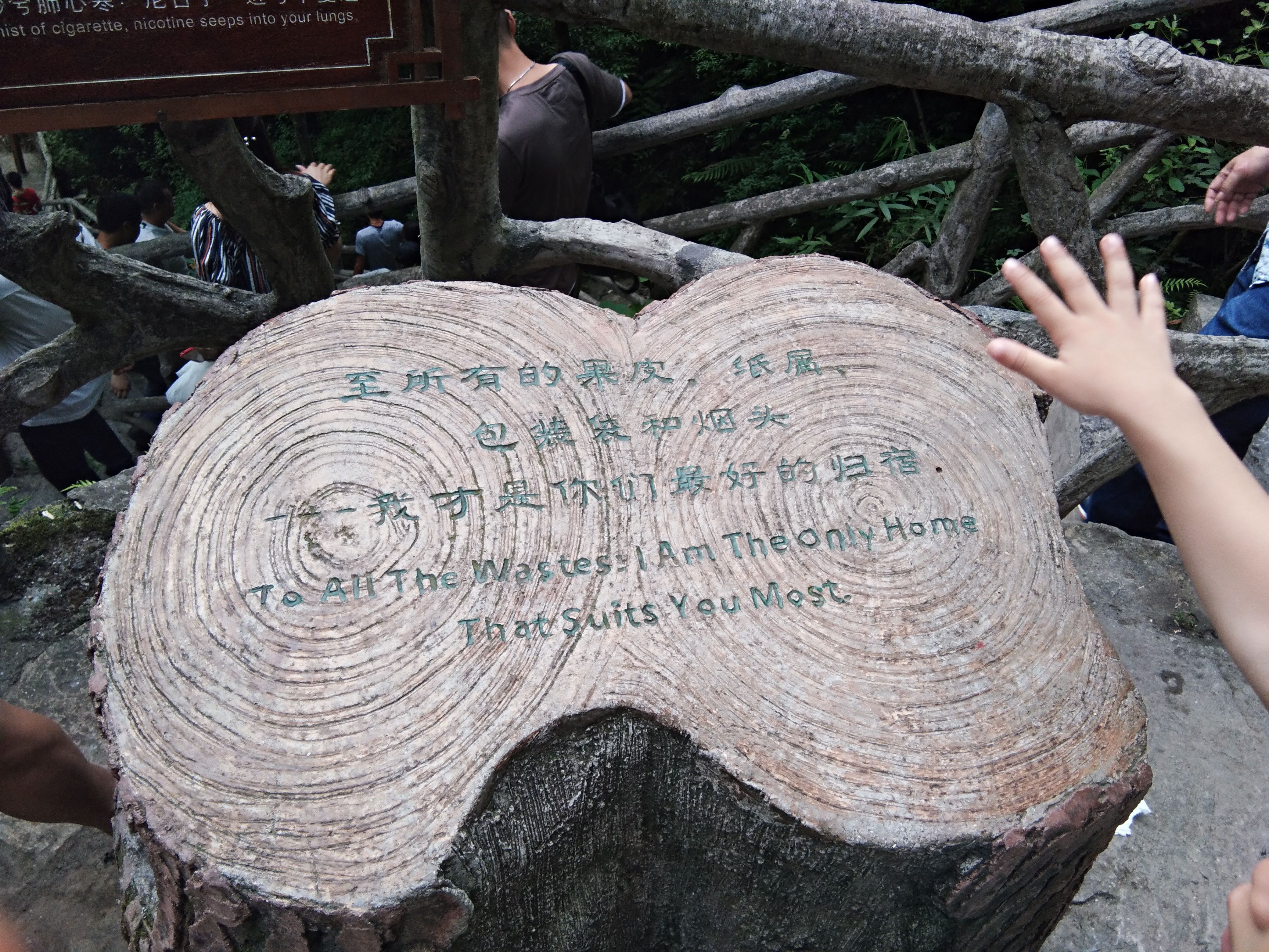 🎶琴儿🎶涅槃重生的图片