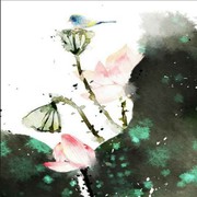 肥牛姥爷（湜淼）
