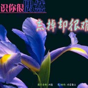 情永恒7