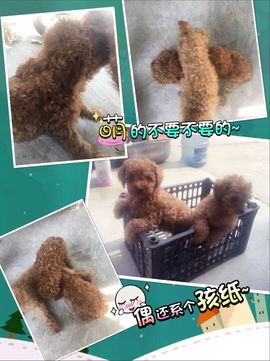一秒钟の记忆主播照片