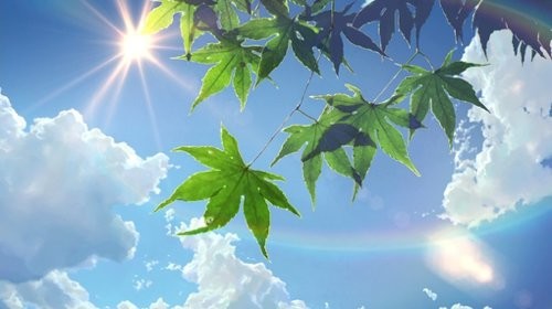 ╰知更的主播照片