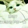 风带走故事也带走你q