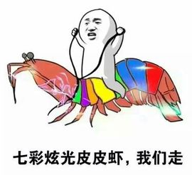 橙子江湖再见啦！主播照片