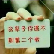 装饰13315849