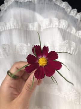 ~瑶瑶~~主播照片