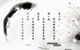 陆七萬主播照片