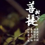 岁月无痕sz