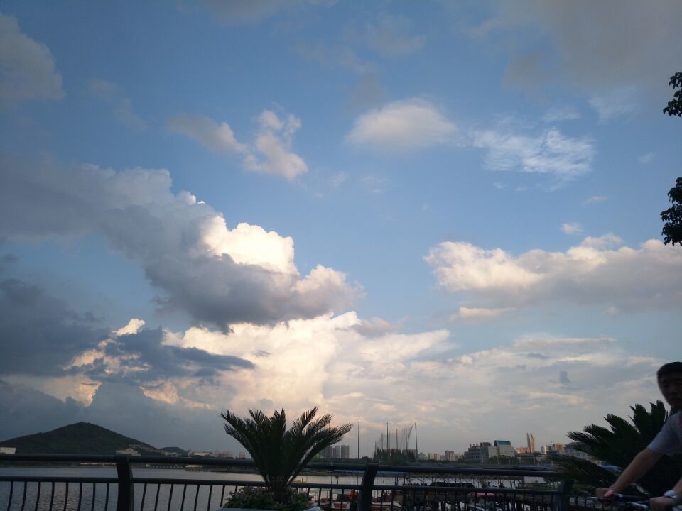 ?﹏菓寶゜微光向暖?的主播照片
