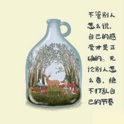 淡雅的惆怅n海报