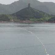 凯子et海报