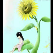 向阳花*0