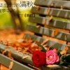 @妞我爱你