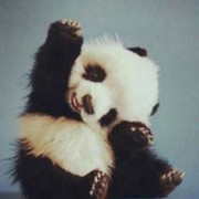 平安是福3g0海报