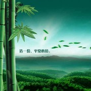往事如昔b