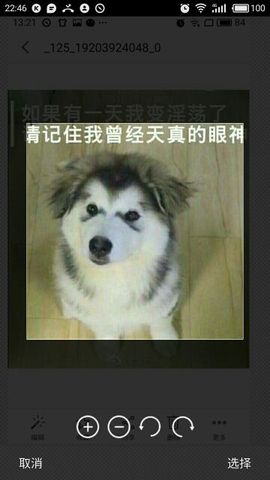 top小狐狸主播照片