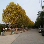 风雨无阻65
