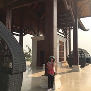 DDao