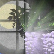 美丽动人e的头像