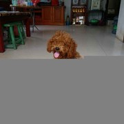 权lj海报