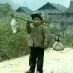 远志.com海报
