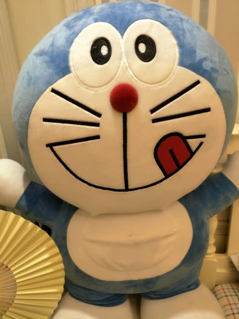 ?﹏菓寶゜微光向暖?的主播照片