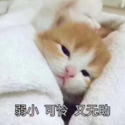 阿凉💘的头像