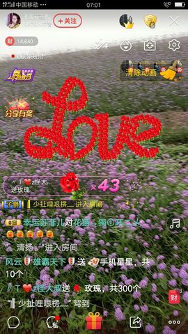 菲儿💅主播照片