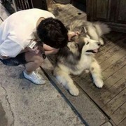 不讨喜.k海报