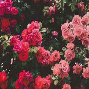 相濡以沫w0n