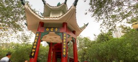 首长囍可爱黄福袋大安主播照片