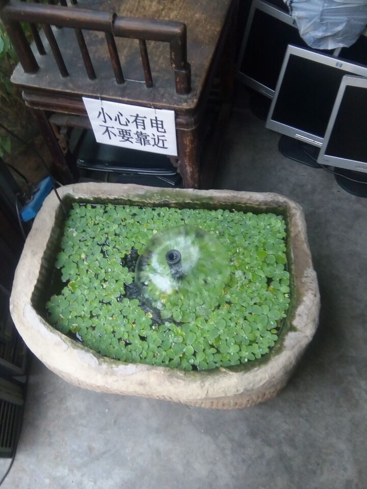 黄瓜茄子玉米萝卜冬瓜的主播照片