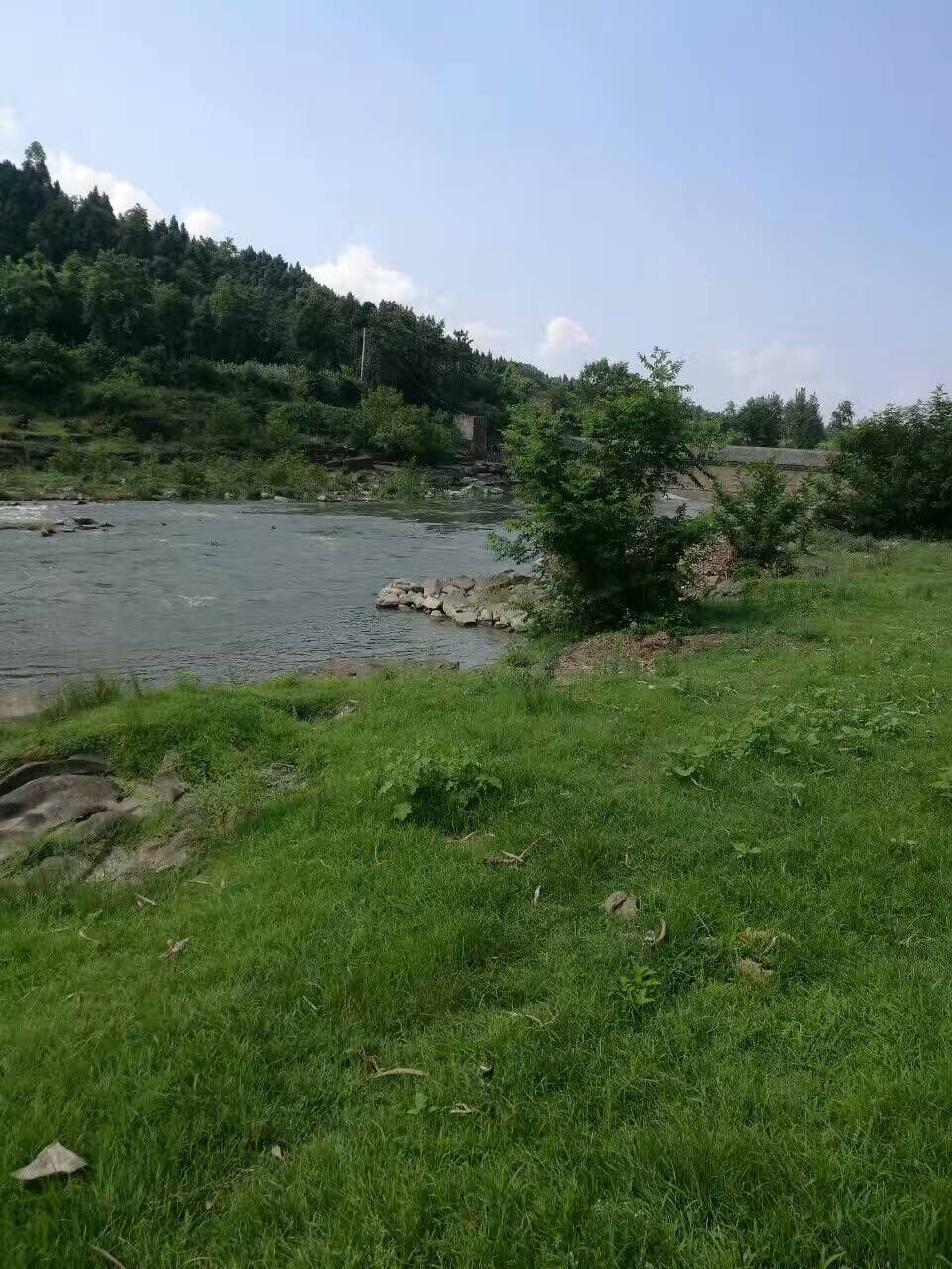 黄瓜茄子玉米萝卜冬瓜的主播照片