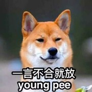 无语伦比p