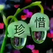 黑暗的幽灵