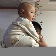大树*u