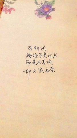 Ann薇薇主播照片