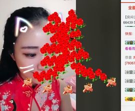 是你的小飞猪主播照片
