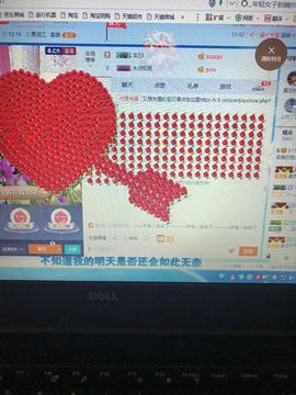丹从心开始求老板主播照片