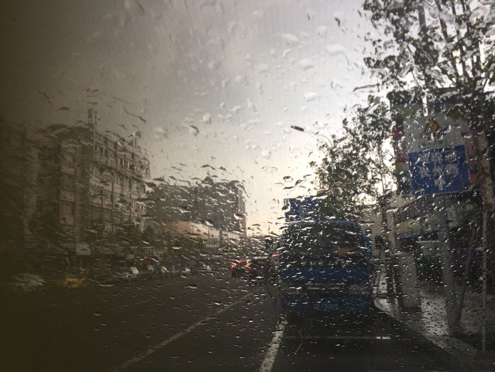 淡淡虎.的主播照片