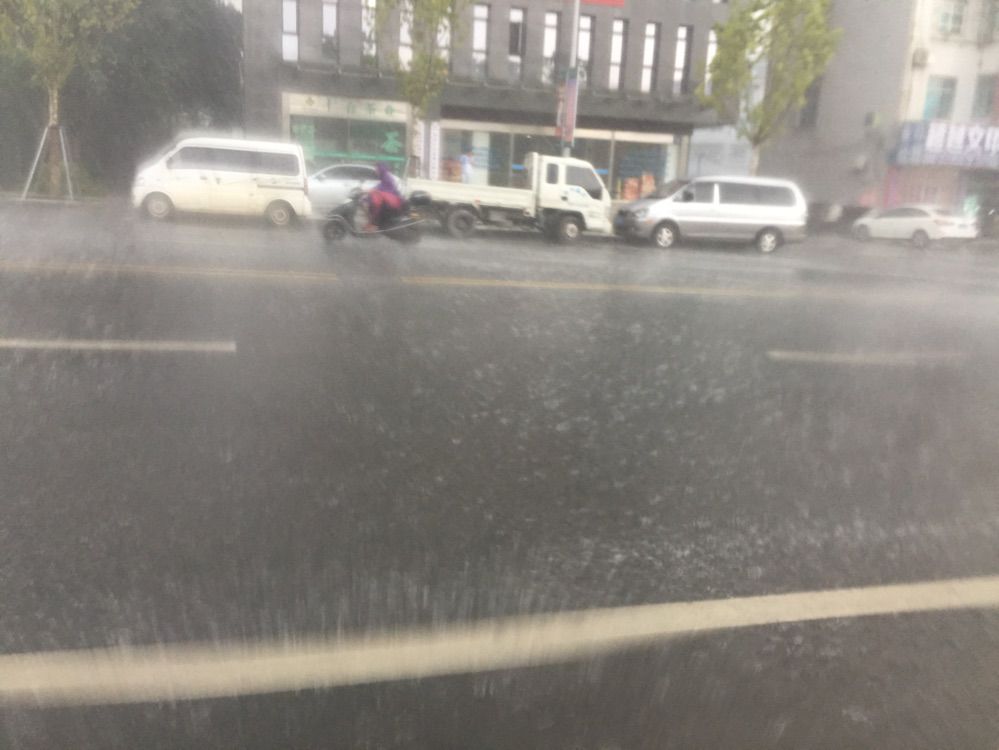 淡淡虎.的主播照片