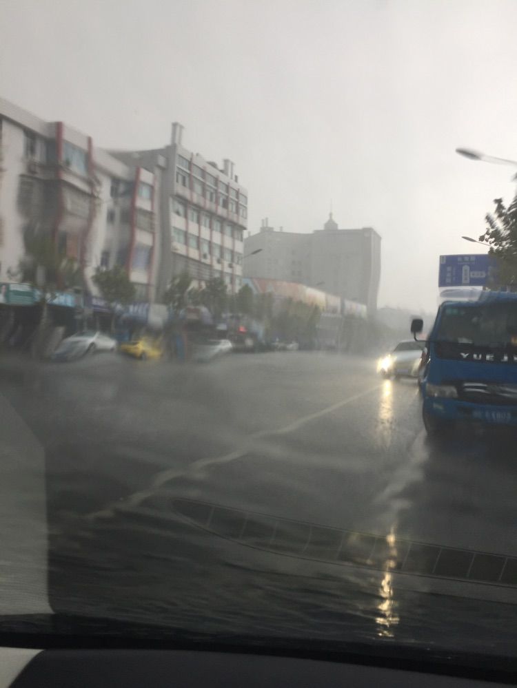 淡淡虎.的主播照片