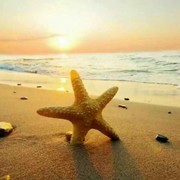 十月阳光☀