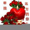 朋友y7