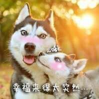 ღ╭➹是你的ღ小心肝主播照片