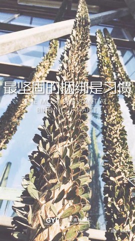 流水@歌舞青春主播照片