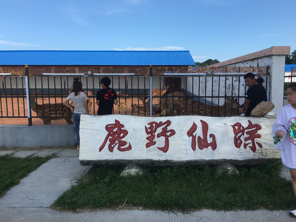 妃宝儿求升一钻主播照片